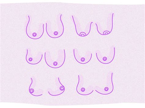 areola pictures|The 12 Different Breast Shapes and Types